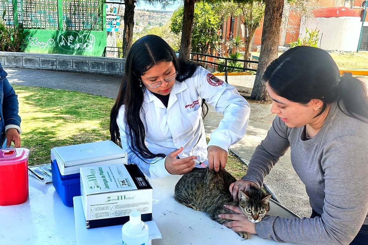 Ayuntamiento de Tlaxcala dará continuidad a campaña antirrábica para mascotas que no fueron vacunadas en marzo